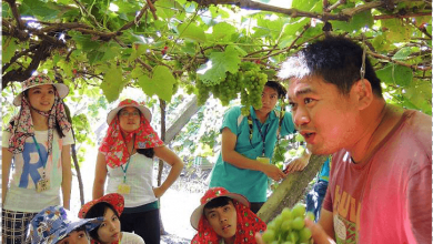 學生們專心聆聽答人解說葡萄品種