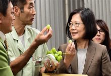 圖為蔡英文8日參觀大田批發市場並試吃「翡翠綠葡萄」。(取自蔡英文臉書)