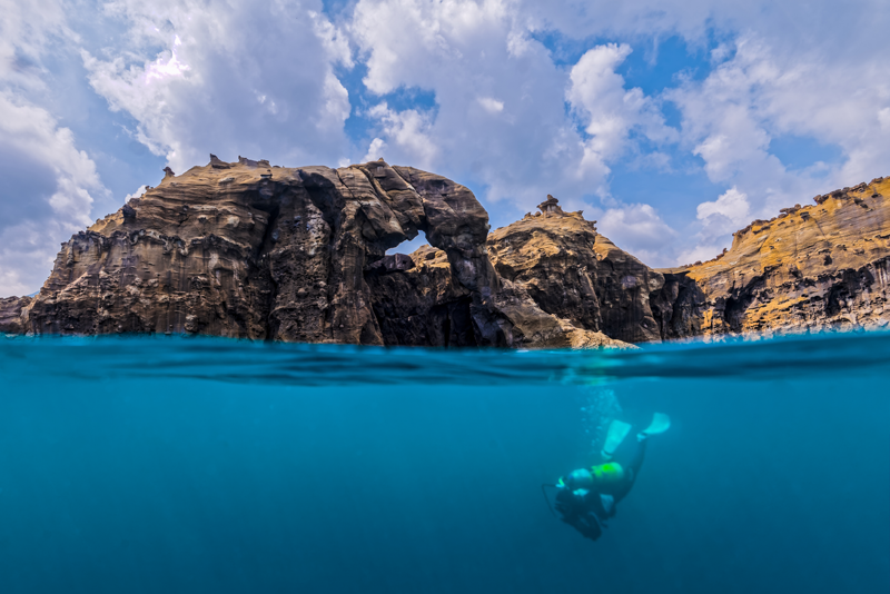 此張作品獲「2015基隆海科館影像海灣Image-Bay水下攝影比賽」廣角冠軍。陳翰旭攝