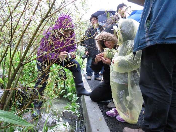 小朋友好奇的觀察著生態水池。〈圖片來源：臺北市政府〉