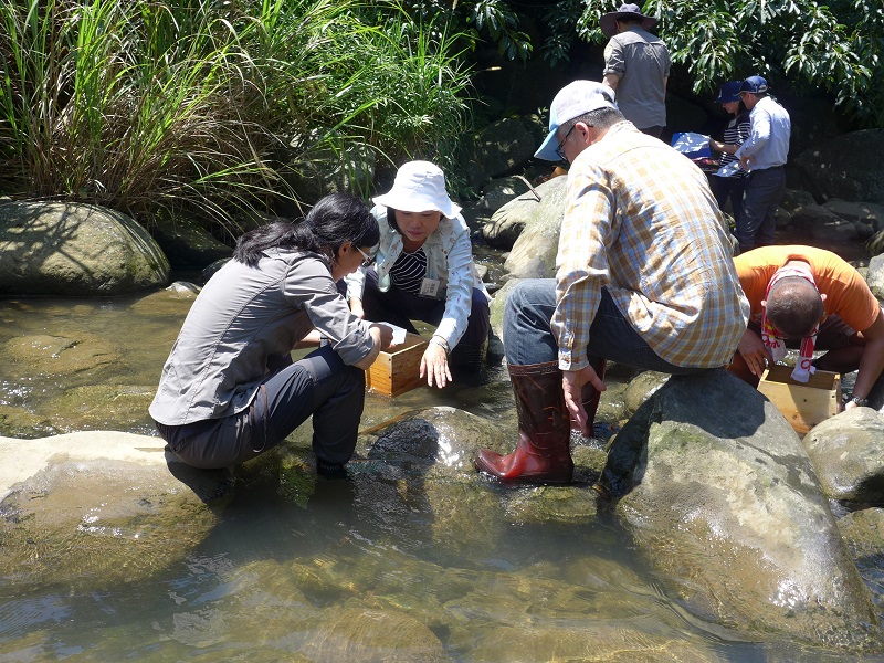 大地處邀請民眾親自踏進溪流中，感受童年記憶中那沁涼的溪水。〈圖片來源：台北市政府提供〉