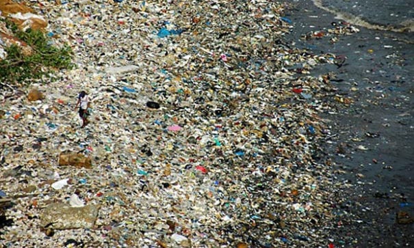 北太平洋環流上有人類留下的污染垃圾，破壞海中食物鏈。（圖片摘自網路）