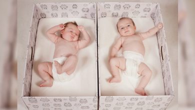 Photo of 嬰兒睡紙箱　芬蘭媽媽驕傲說：全世界最幸福