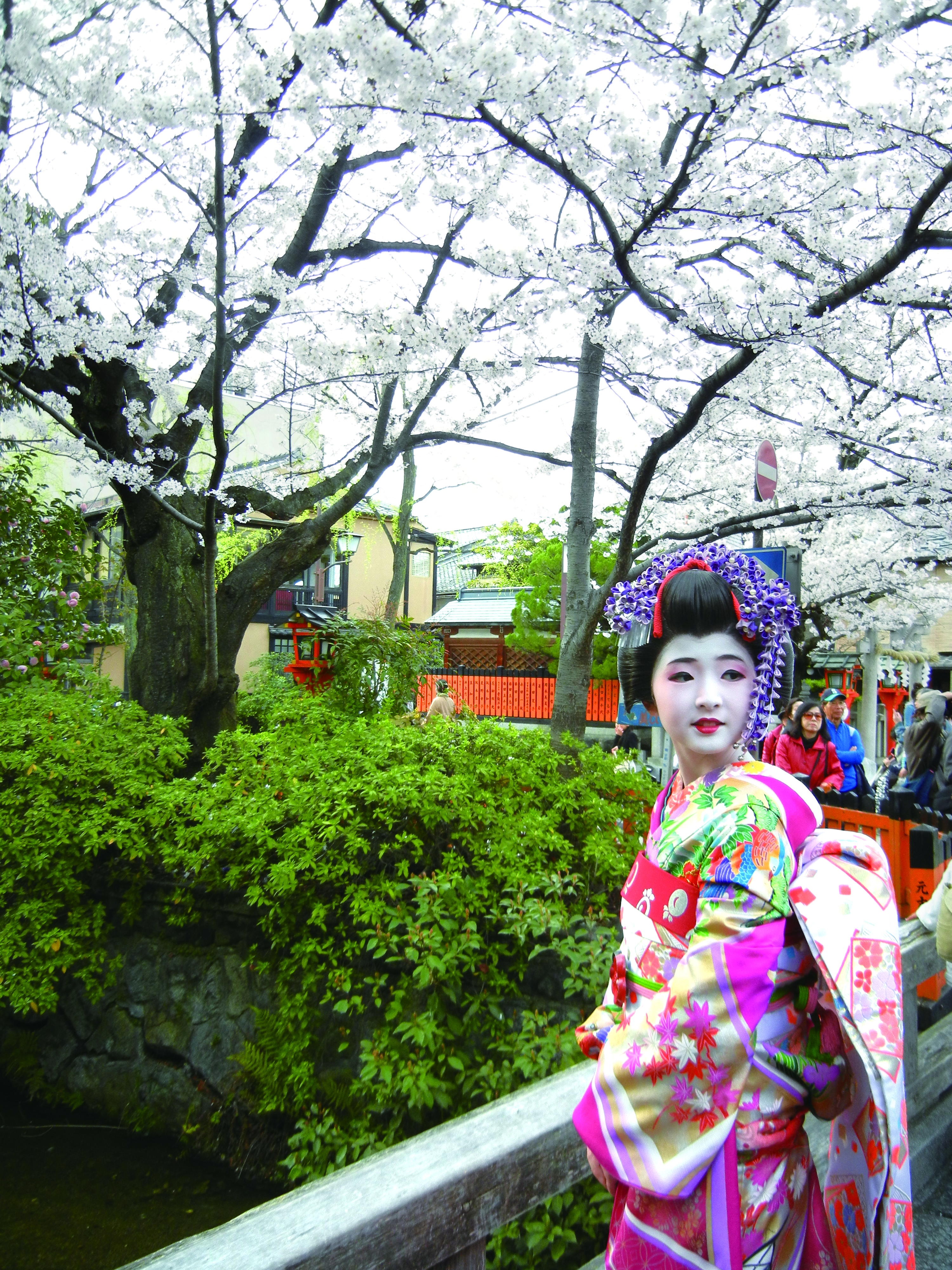 舞技出來與櫻花爭豔。（圖片來源：《私藏東京──美學、巷弄名景食的日本品遊散策》，麥浩斯出版。）