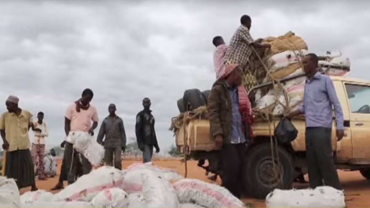 數千萬難民被迫回到民不聊生的索馬利亞（Somalia）。（圖片來源：翻攝自youtube）